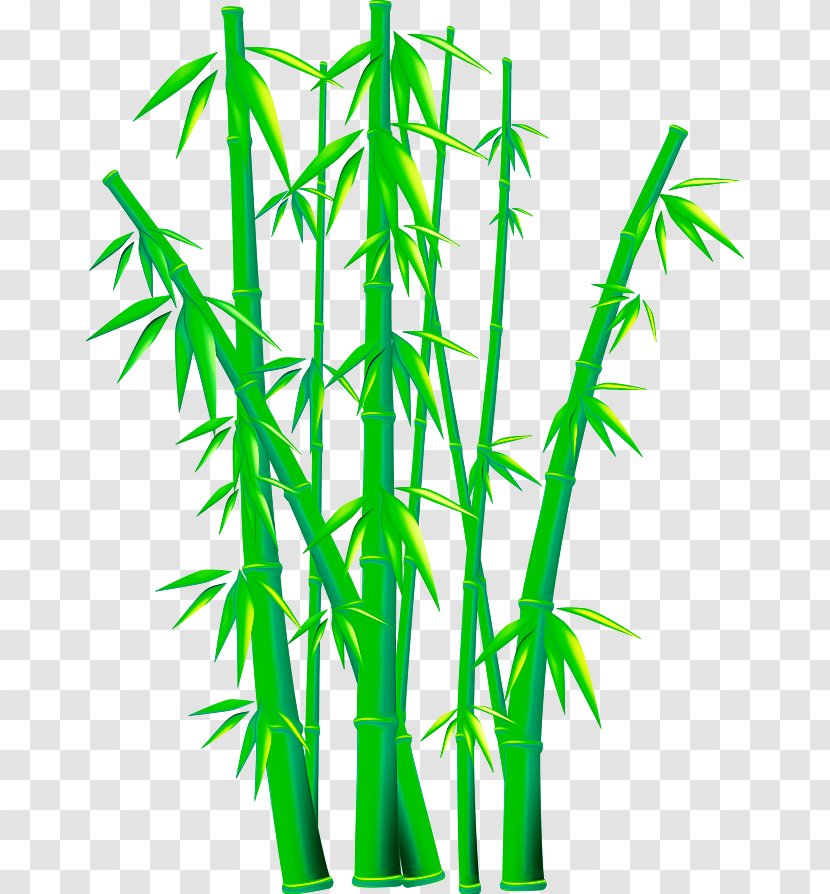 Bamboo Euclidean Vector Clip Art - Flowerpot Transparent PNG