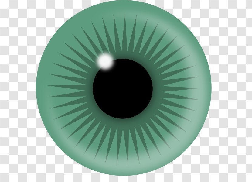 Human Eye Iris Pupil - Frame - Teal Transparent PNG