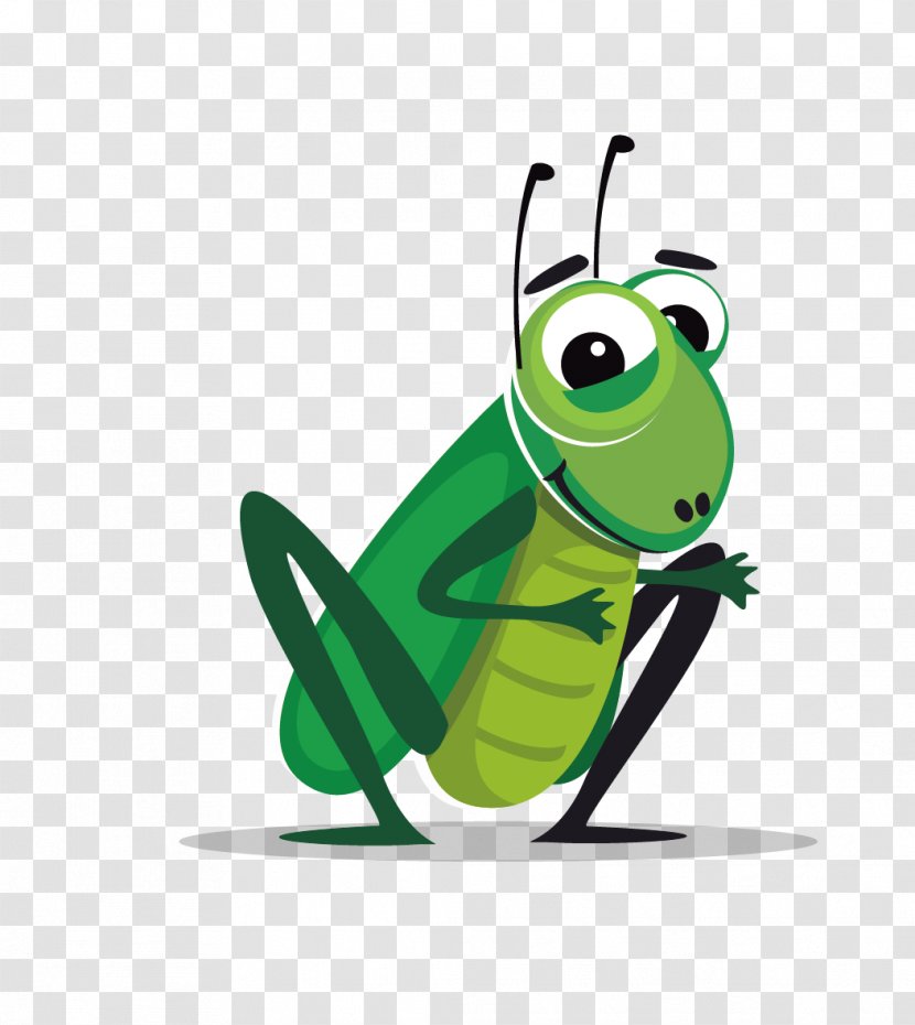 Insect Cricket Cartoon Clip Art - Vector Material Grasshopper Transparent PNG