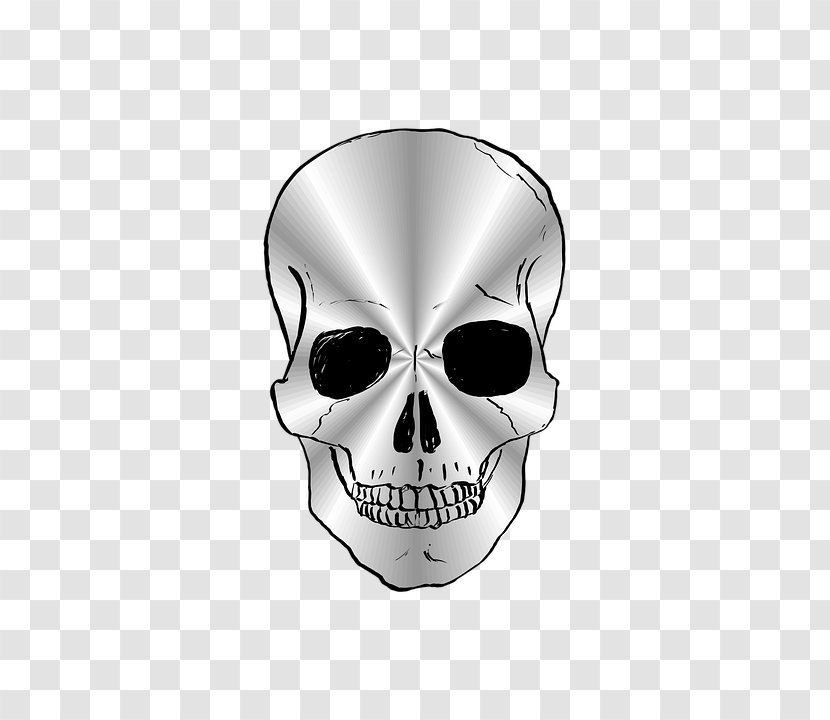 Human Skull Symbolism Image Euclidean Vector Skeleton - Bone Transparent PNG