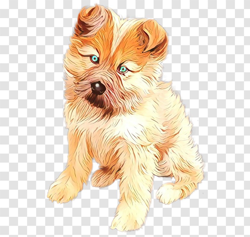 Dog Breed Yorkshire Terrier Puppy Companion - Cairn Transparent PNG