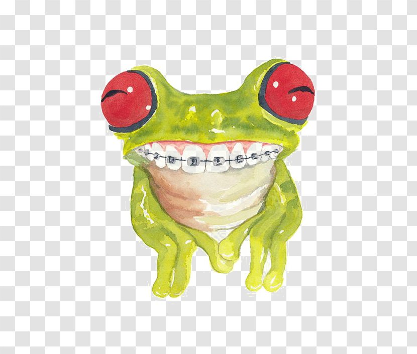 Frog Cat Watercolor Painting Dental Braces - Green Tree Transparent PNG