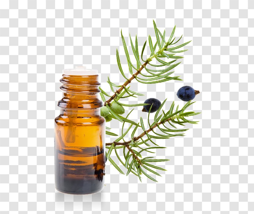 English Lavender Juniperus Oxycedrus Essential Oil - Eau De Cologne Transparent PNG