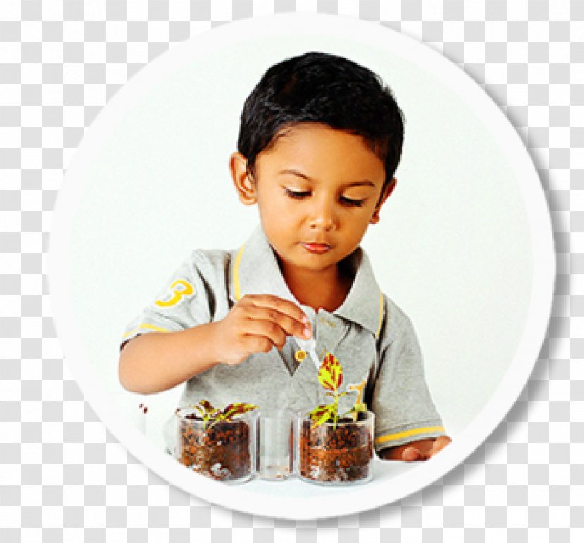 Maria Montessori India Pre-school Child Education - Taste Transparent PNG