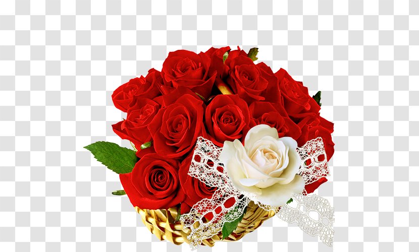 Rose WhatsApp Hindi Clip Art - Floristry - Happy Flower Transparent PNG