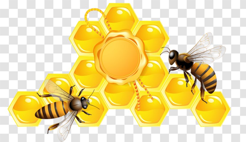 Honey Bee Beehive - Pollinator - Golden Transparent PNG
