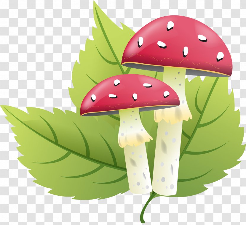 Letter Fungus Amanita Clip Art - Mushroom Transparent PNG