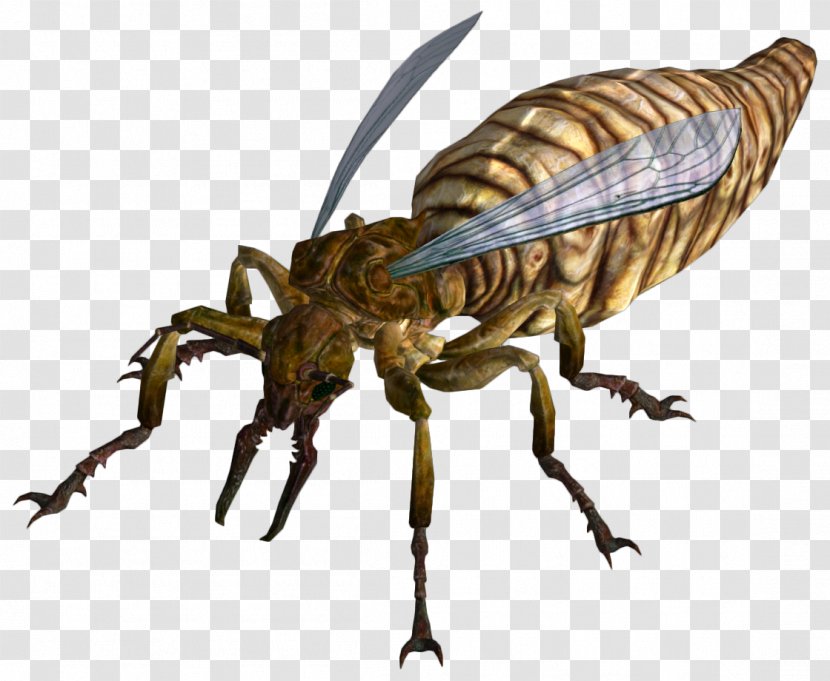 Fallout: New Vegas Fallout 3 Anteater Insect - Organism Transparent PNG