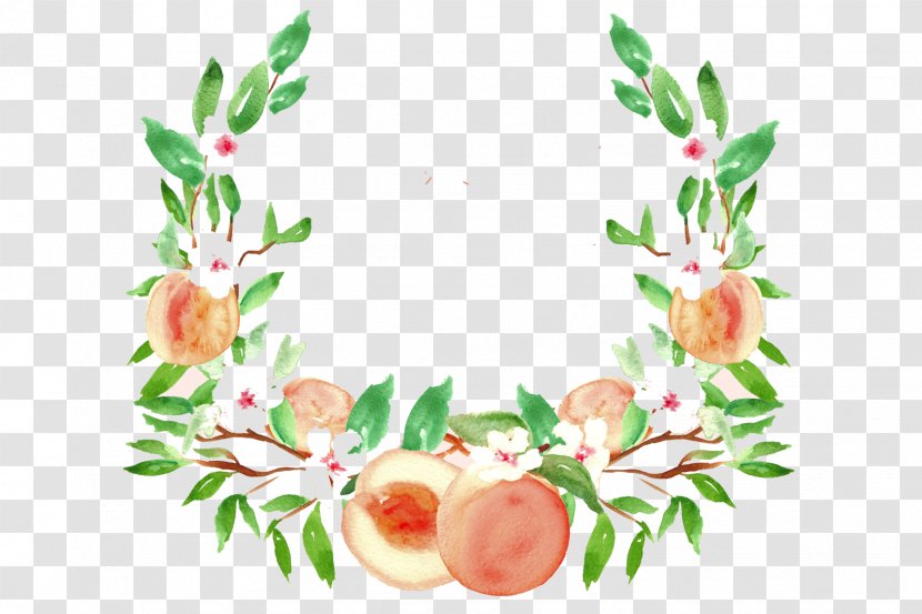 Peach Watercolor Painting Drawing Fruit Clip Art - Tree Transparent PNG