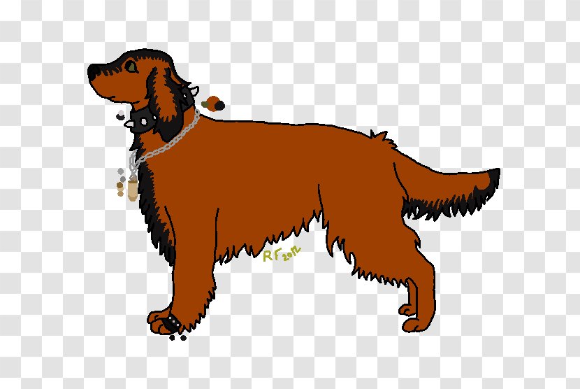 Irish Setter Nova Scotia Duck Tolling Retriever Puppy Dog Breed Sporting Group - Colony Of Transparent PNG