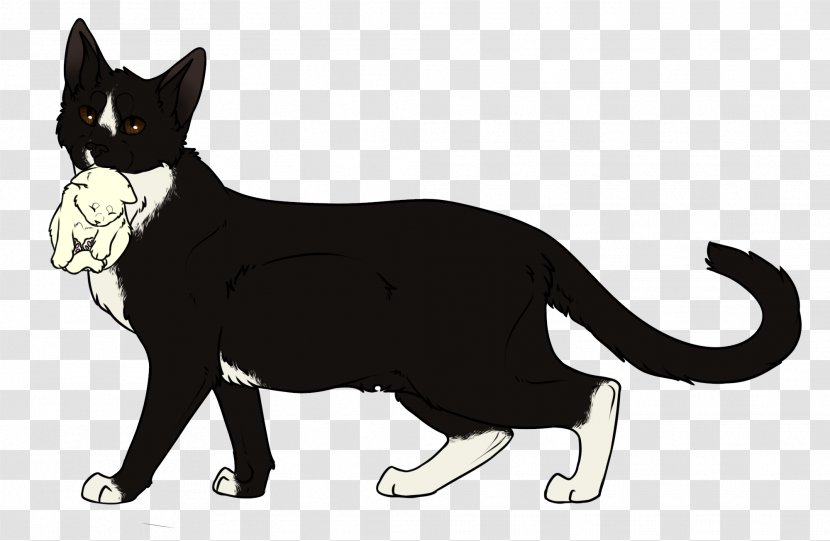 Whiskers Manx Cat Kitten Domestic Short-haired Black Transparent PNG