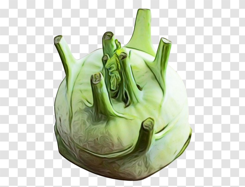 Plant Vegetable Kohlrabi Wild Cabbage Transparent PNG
