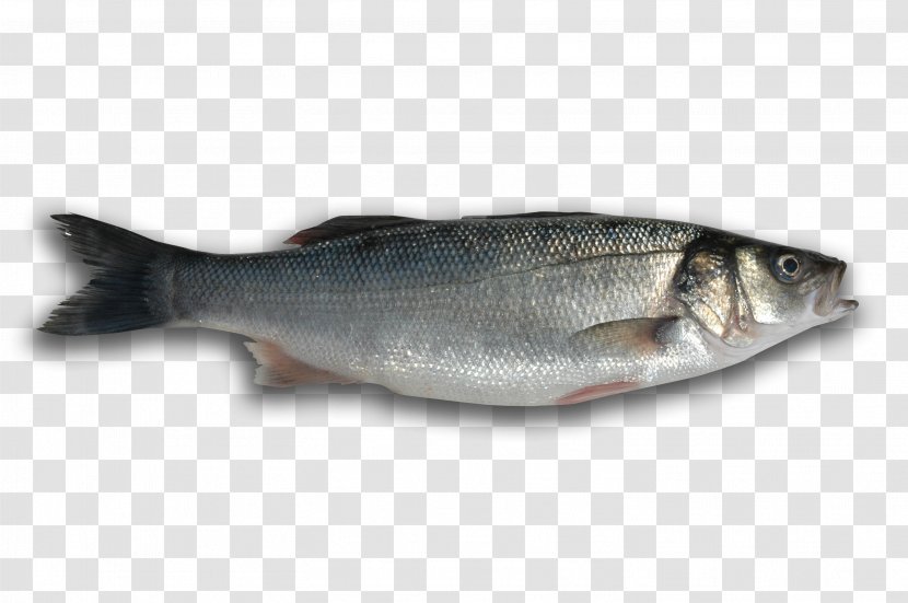 Fish Soup Seafood European Bass - Coho - Nemo Transparent PNG