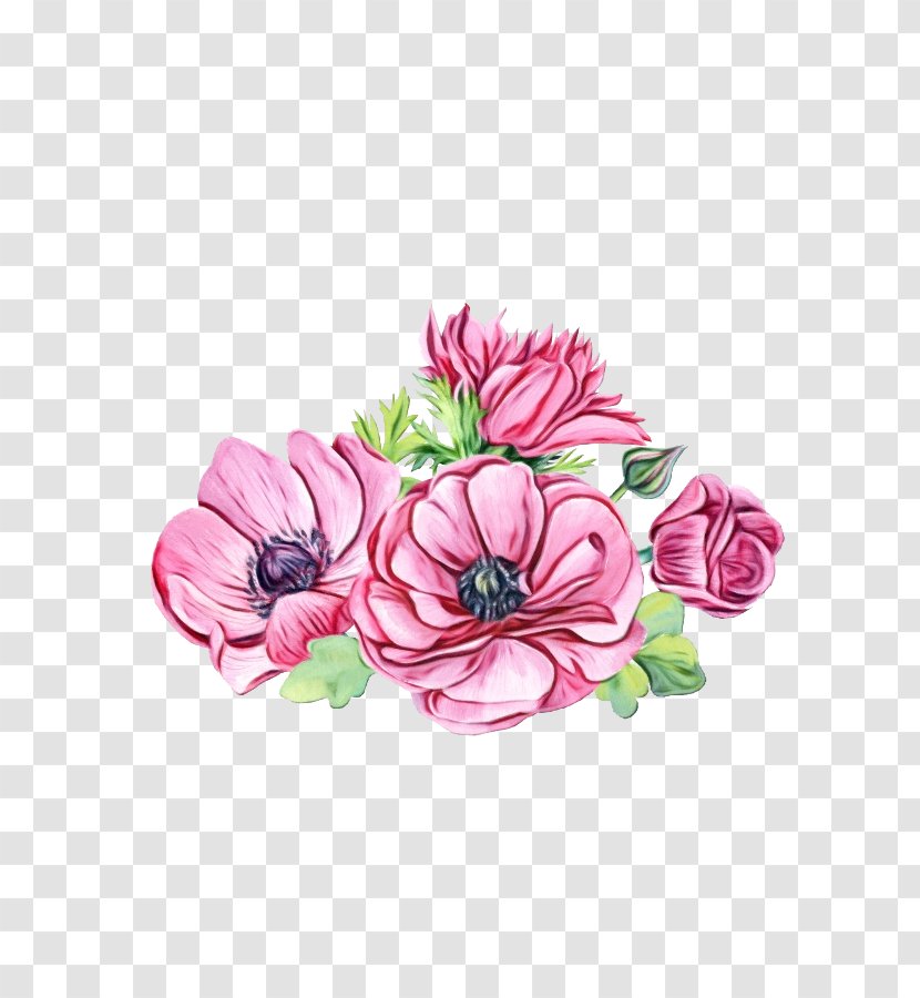 Flower Pink Petal Plant Flowering - Cut Flowers - Plate Anemone Transparent PNG