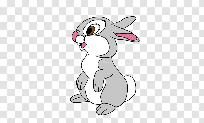 Domestic Rabbit Hare Whiskers Easter Bunny - Cat Like Mammal Transparent PNG