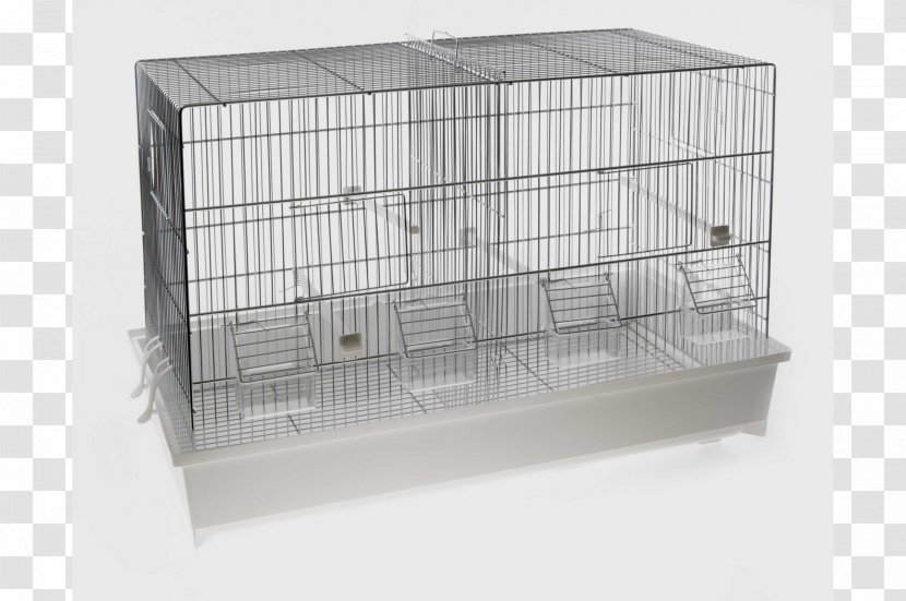 Domestic Canary Cage Bird Mauser Highway M06 Transparent PNG