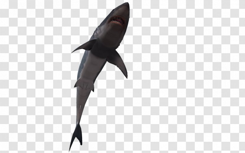 Shark Fish 3D Computer Graphics - Ocean - 3d Cartoon Transparent PNG