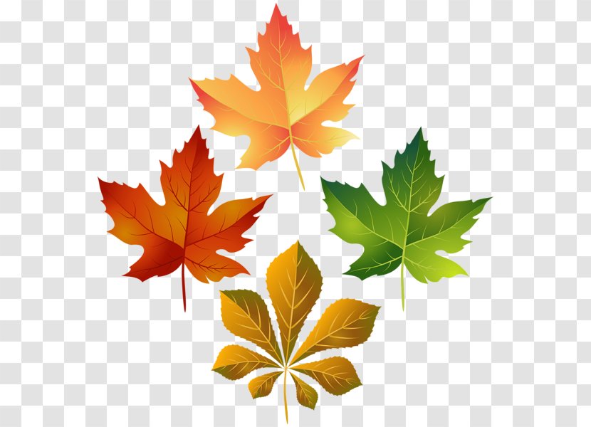 Clip Art Image Transparency Leaf - Plant - Colorful Fall Leaves Transparent PNG