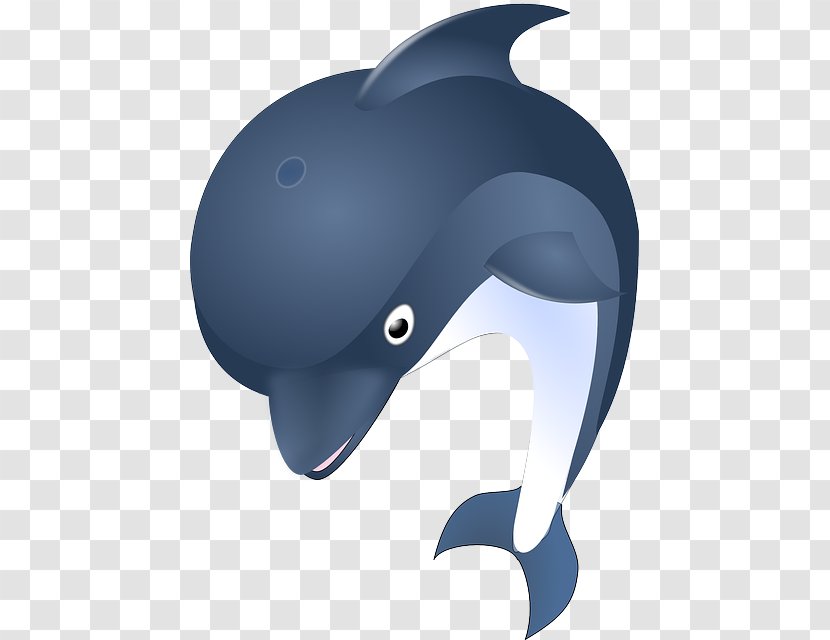 Common Bottlenose Dolphin Clip Art - Cartoon Transparent PNG