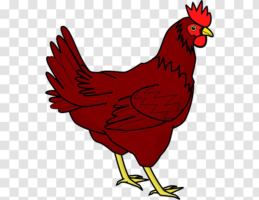 Cochin Chicken The Little Red Hen Clip Art - Transparent Image Transparent PNG