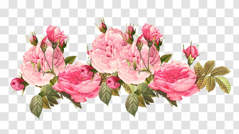 Flower Vintage Clothing Centifolia Roses Clip Art - Arranging - Spell Transparent PNG