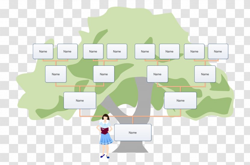 Family Tree Child Template Genealogy - Organization Transparent PNG