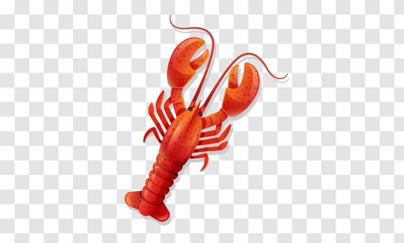 Lobster Caridea Palinurus Elephas Shrimp Astacoidea - Red Transparent PNG