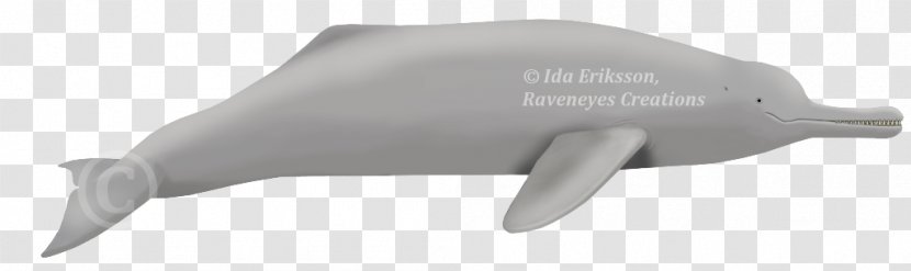 Marine Mammal - Hardware - Ganga River Transparent PNG