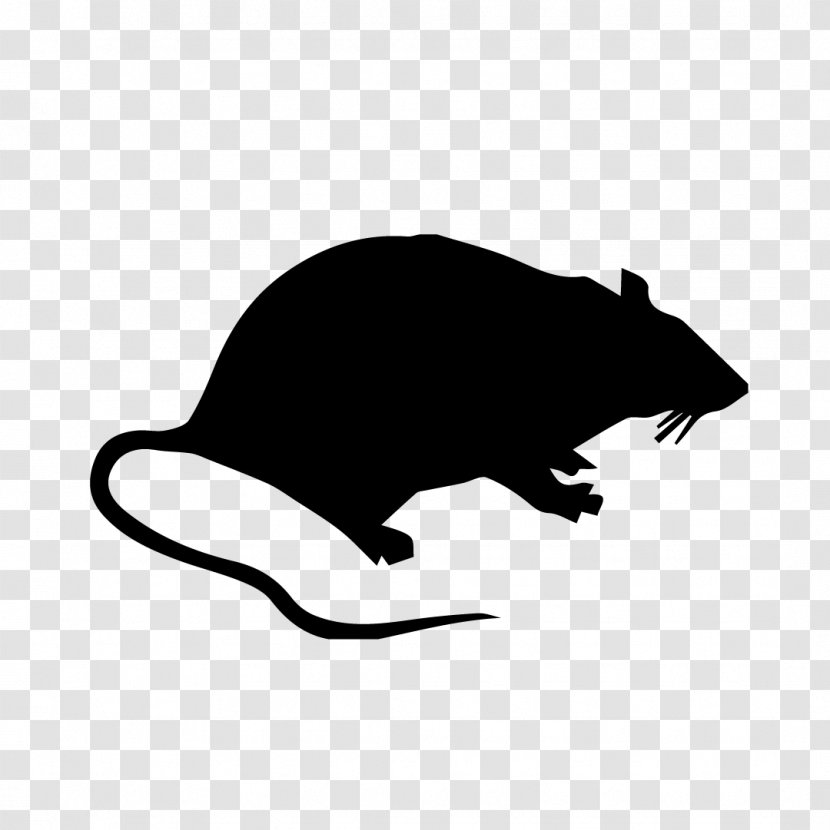 Brown Rat Rodent Mouse Pest Control - Silhouette - Vector Transparent PNG