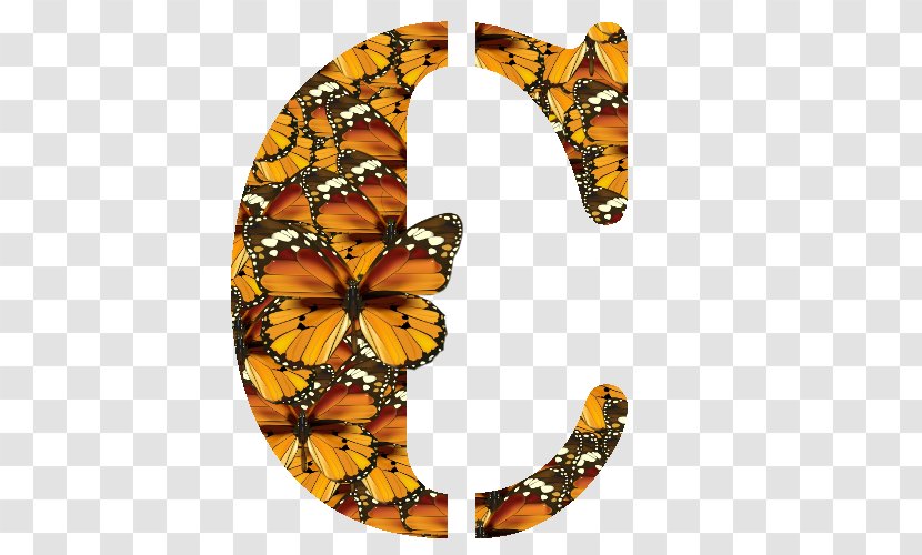 Monarch Butterfly Brush-footed Butterflies Wall Decal - Zy Transparent PNG