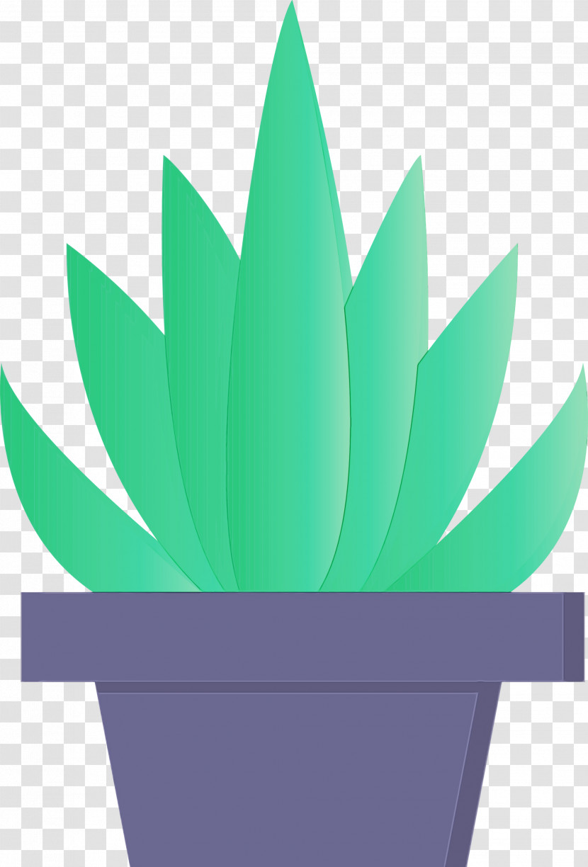 Green Flowerpot Leaf Plant Houseplant Transparent PNG