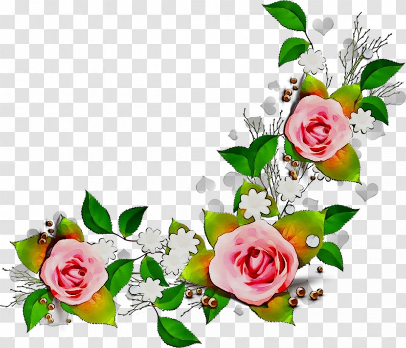 Garden Roses Floral Design Cut Flowers - Flower - Petal Transparent PNG