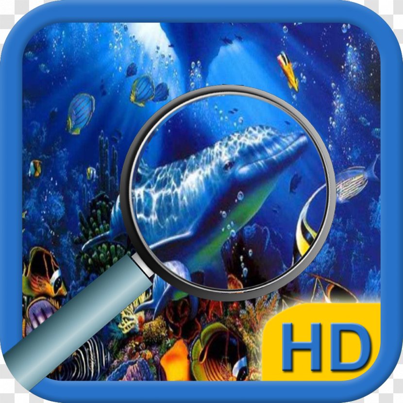 Coral Reef Fish Glass Ecosystem Marine Biology - Divemaster - Undersea Transparent PNG