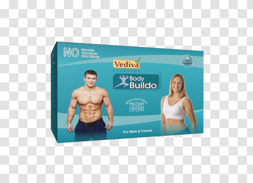 Dietary Supplement Human Body Muscle Health Horse - Protein Transparent PNG