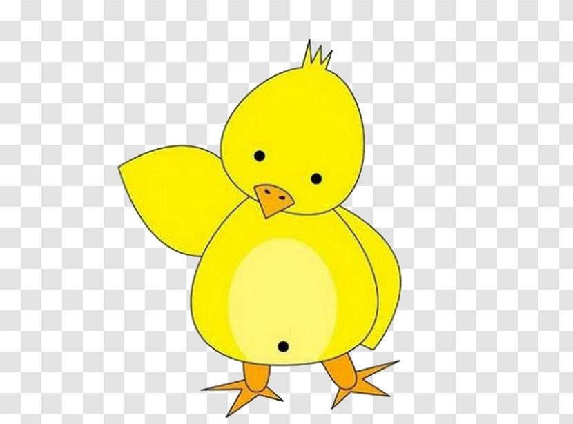 Duck Yellow Drawing Cartoon Illustration - Chick Transparent PNG