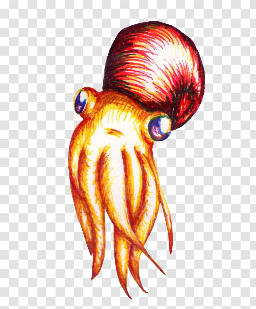 Octopus Platypus Drawing Ammonites Goat - Cartoon - Watercolor Transparent PNG