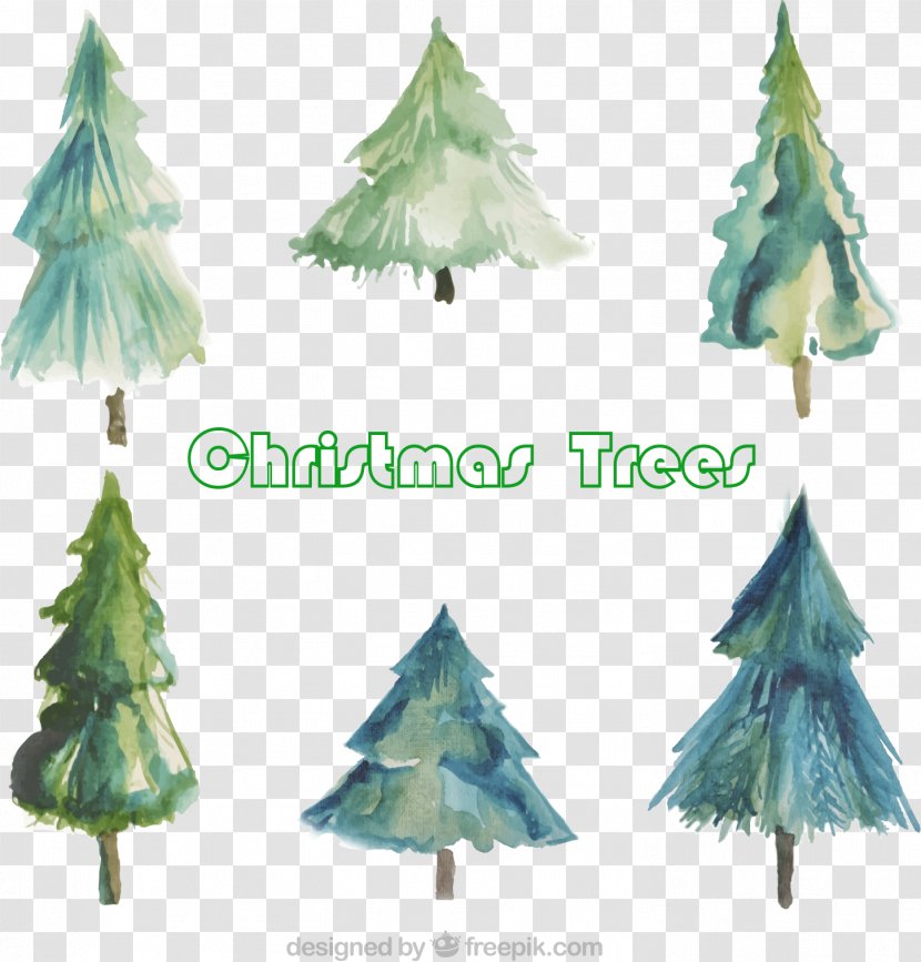 Christmas Tree Watercolor Painting - Pine Family - 6 Transparent PNG