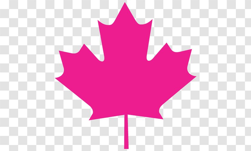 Flag Of Canada Maple Leaf National Stock Photography - Petal Transparent PNG