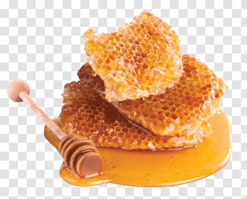 Honeycomb Honey Bee - M%c4%81nuka Transparent PNG