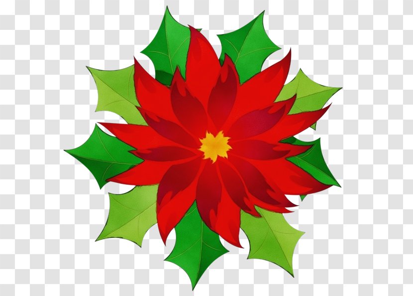 Christmas Tree Watercolor - Wildflower Plane Transparent PNG