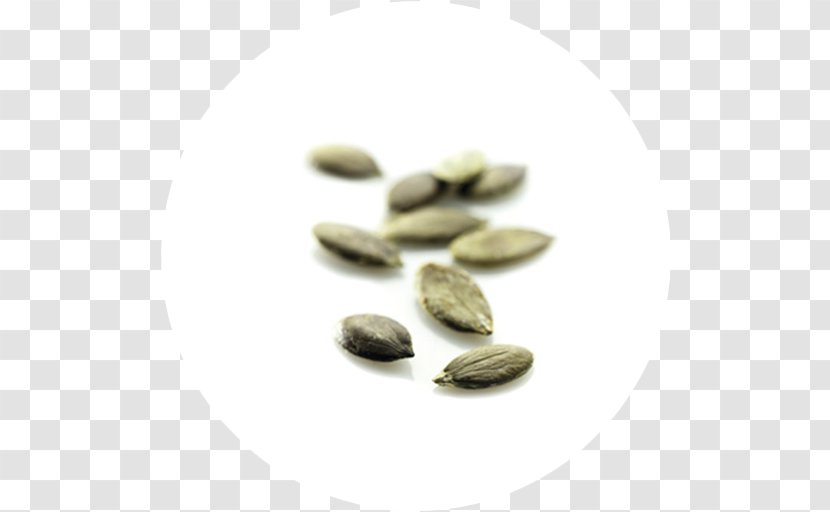 Peppermint Hybrid Pumpkin Seed Commodity - Nut - Cucurbita Pepo Transparent PNG