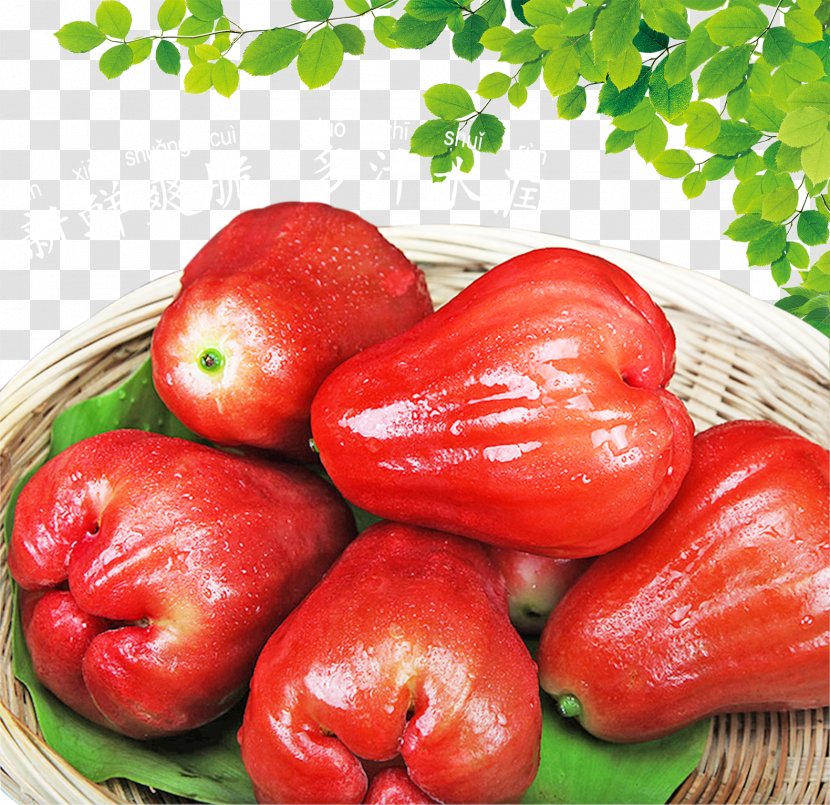 Anshun Danzhai County Sohu - Potato And Tomato Genus - Wax Apples Freshly Picked Transparent PNG