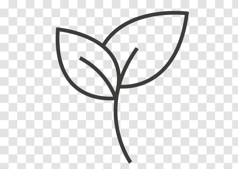 Clip Art Plant Stem Leaf Flower Line - Eggers Transparent PNG