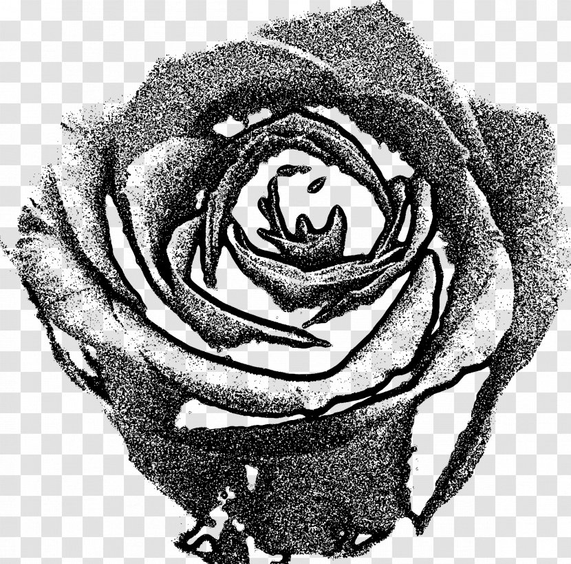 Garden Roses Drawing Black And White - Heart - Rose Transparent PNG