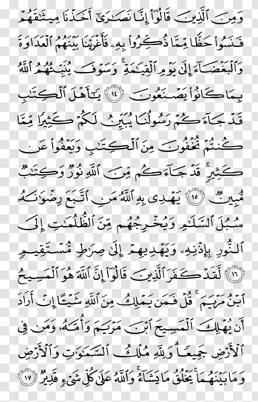 Qur'an Surah Al-Jumua Al-An'am Ar-Rum - Frame - Tree Transparent PNG