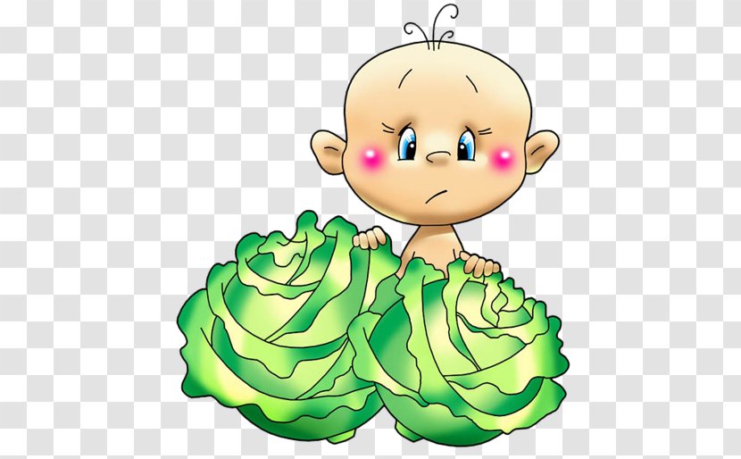 Clip Art Image Diaper Child Illustration - Infant - Cabbages Cartoon Transparent PNG