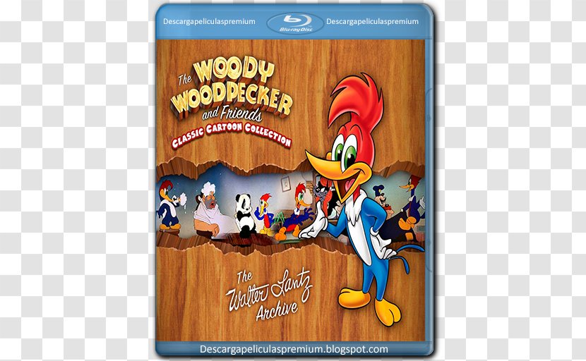 Woody Woodpecker Animated Cartoon Film Transparent PNG