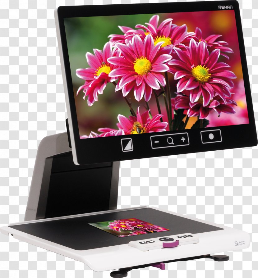 Laptop Desktop Wallpaper 1080p Computer Monitors Widescreen - Multimedia Transparent PNG