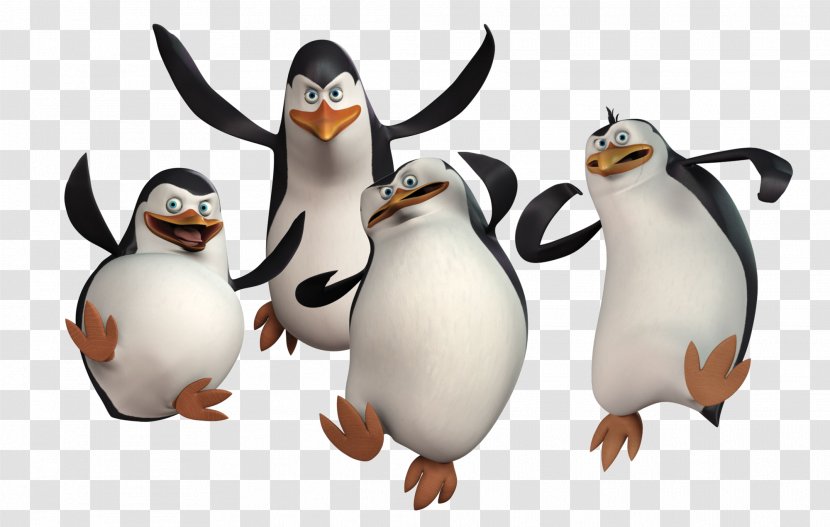 Madagascar Penguin Film DreamWorks Animation - Dreamworks - Penguins Image, Image Transparent PNG