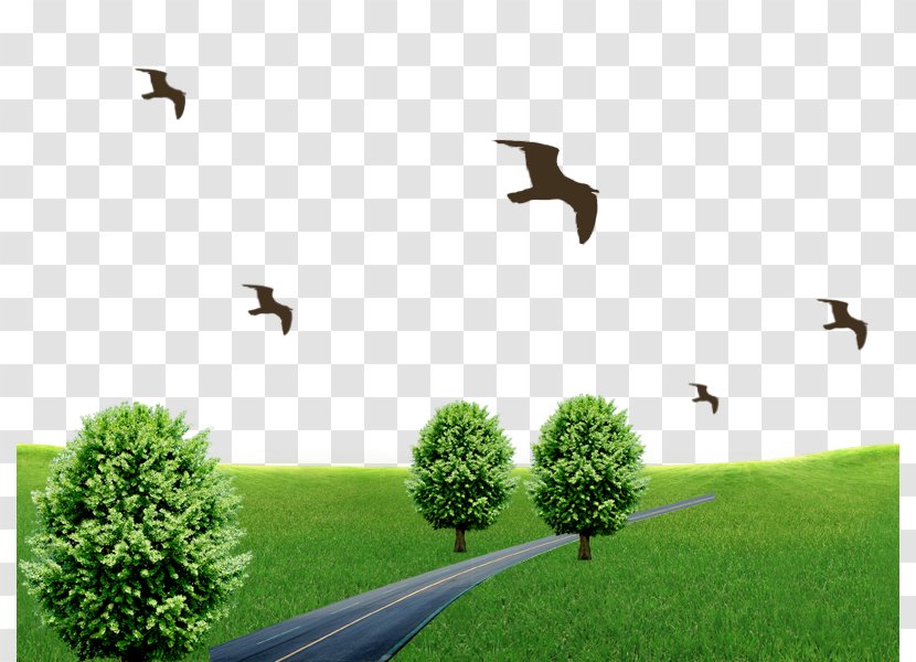 Bird Download Wallpaper - Vast Fields Transparent PNG